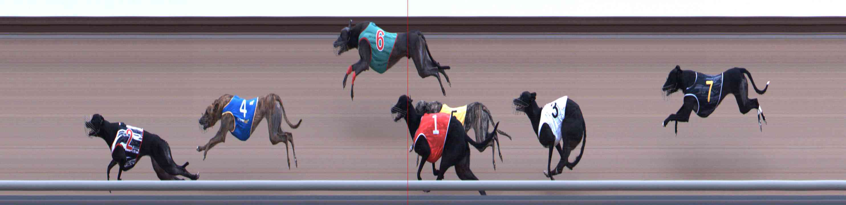 Photo finish for Healesville Race 4