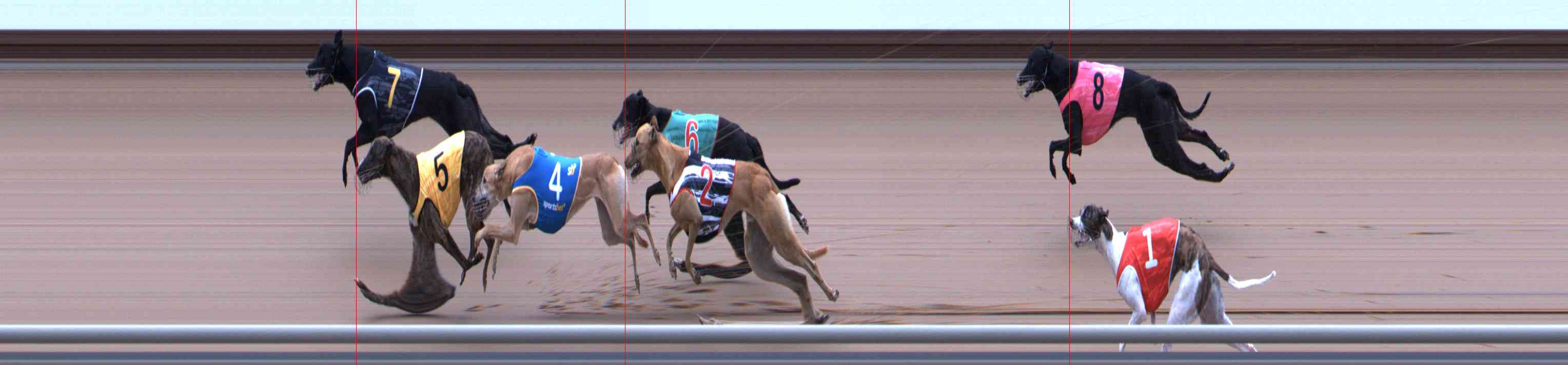Photo finish for Healesville Race 5
