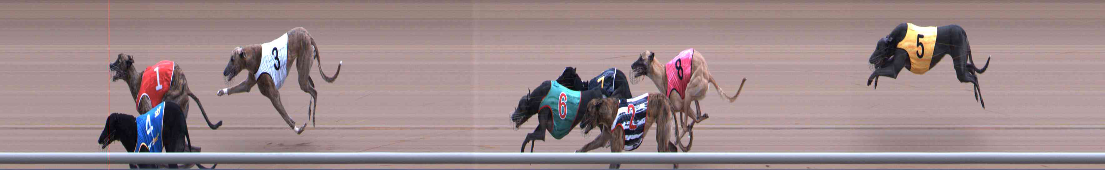 Photo finish for Healesville Race 6