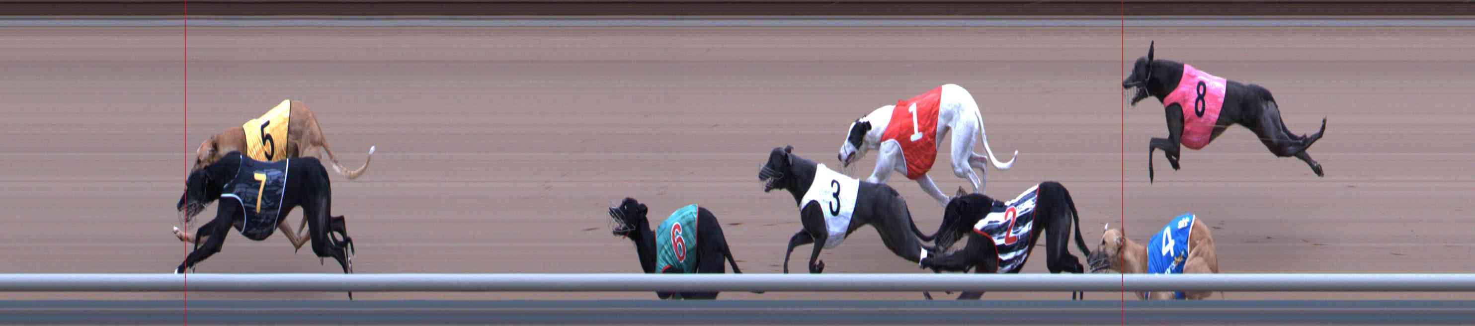 Photo finish for Healesville Race 7