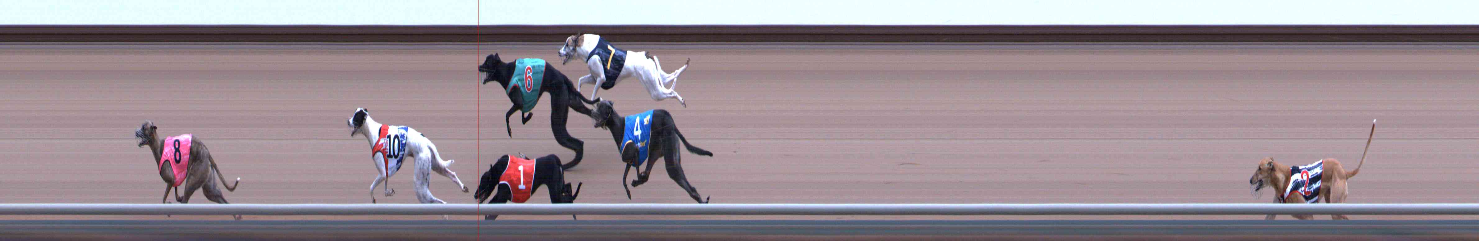 Photo finish for Healesville Race 8