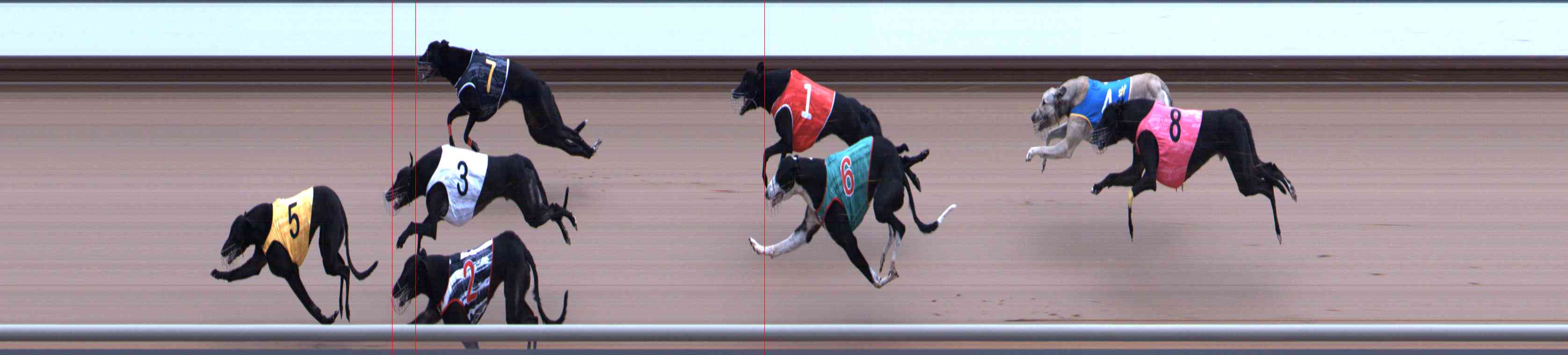 Photo finish for Healesville Race 9