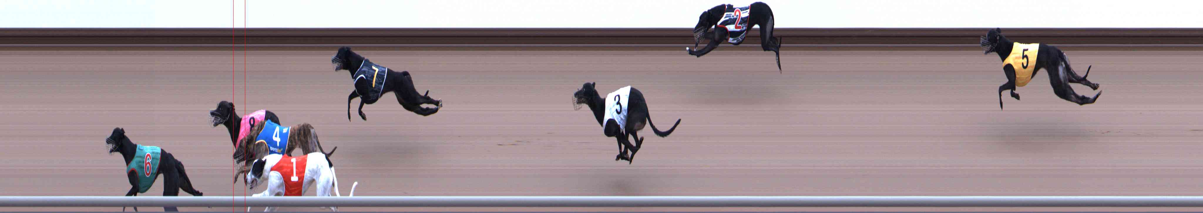 Photo finish for Healesville Race 10