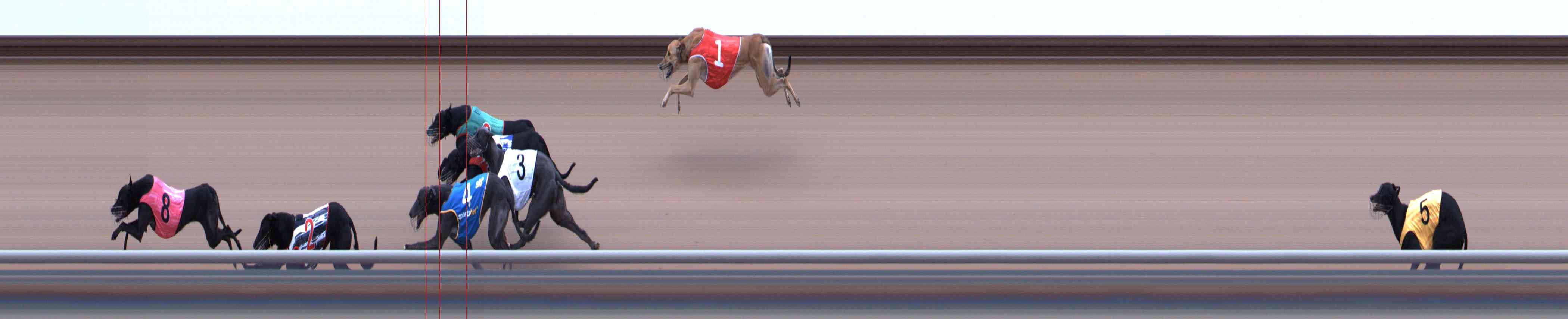 Photo finish for Healesville Race 11