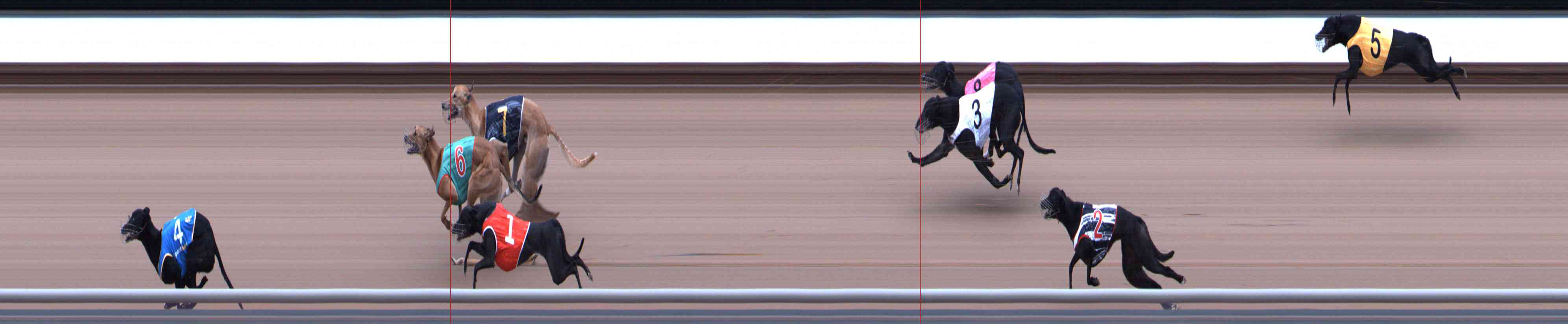 Photo finish for Healesville Race 12