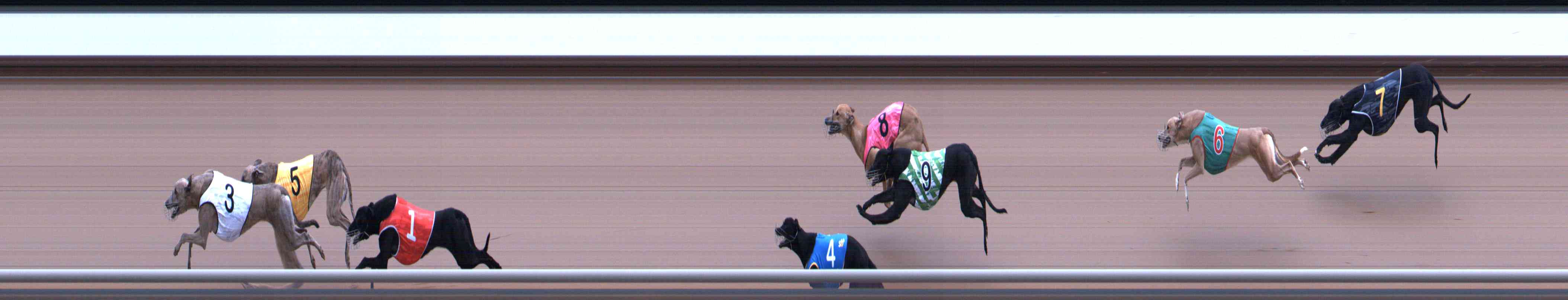 Photo finish for Healesville Race 1
