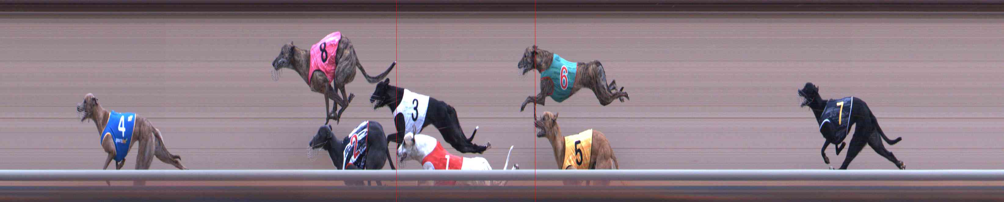 Photo finish for Healesville Race 2