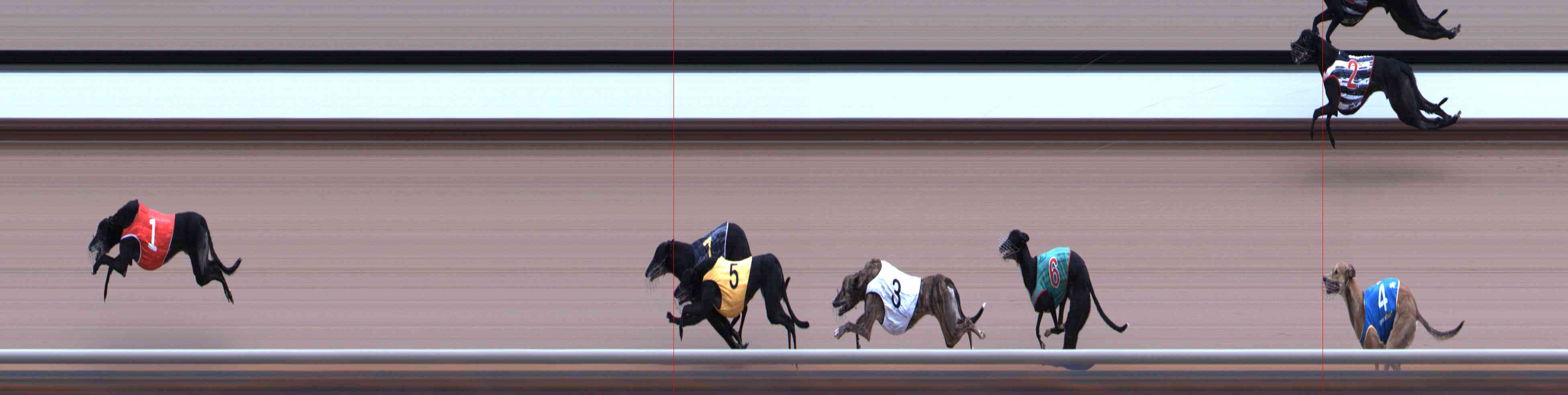 Photo finish for Healesville Race 3
