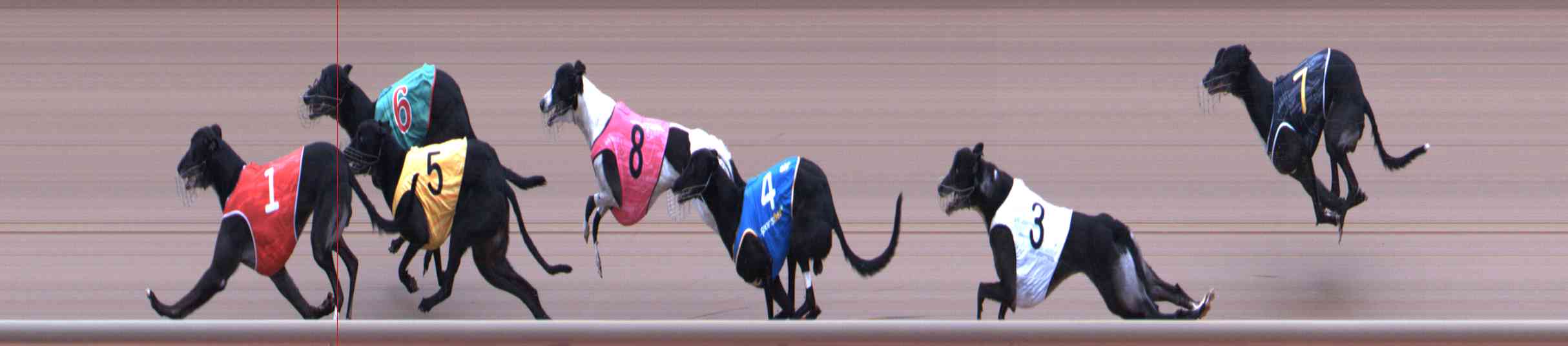 Photo finish for Healesville Race 4