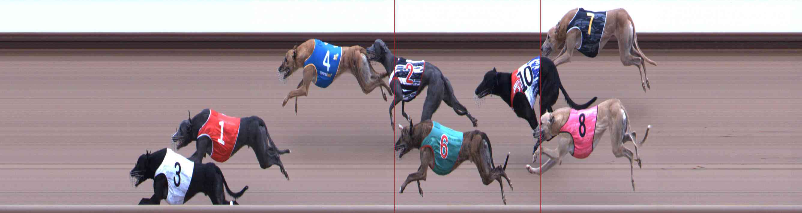 Photo finish for Healesville Race 5