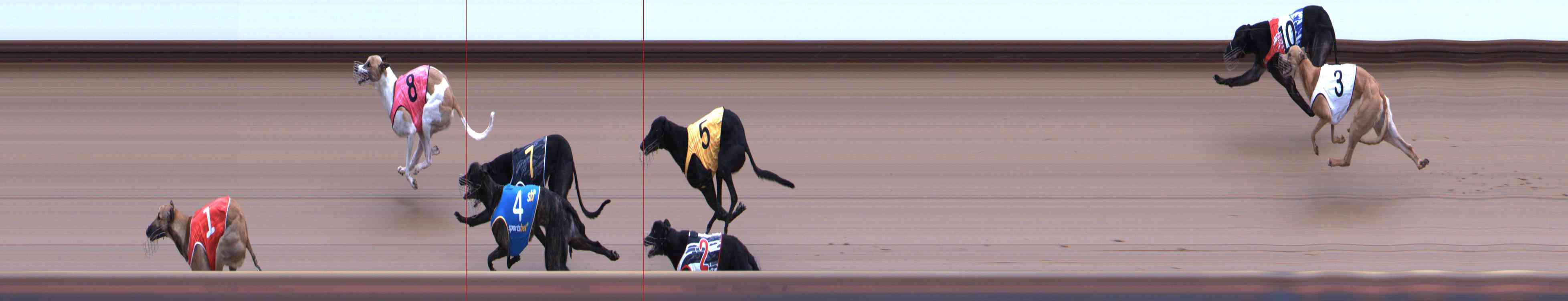 Photo finish for Healesville Race 6
