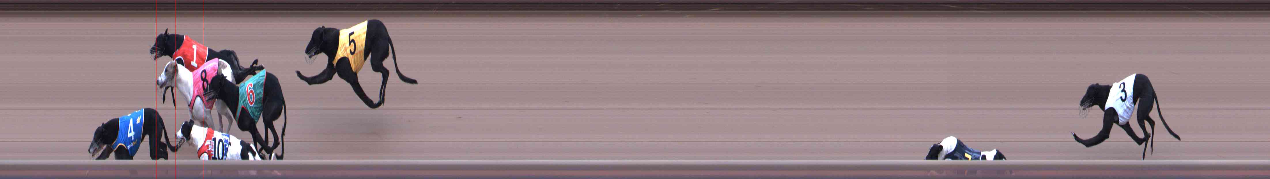 Photo finish for Healesville Race 7