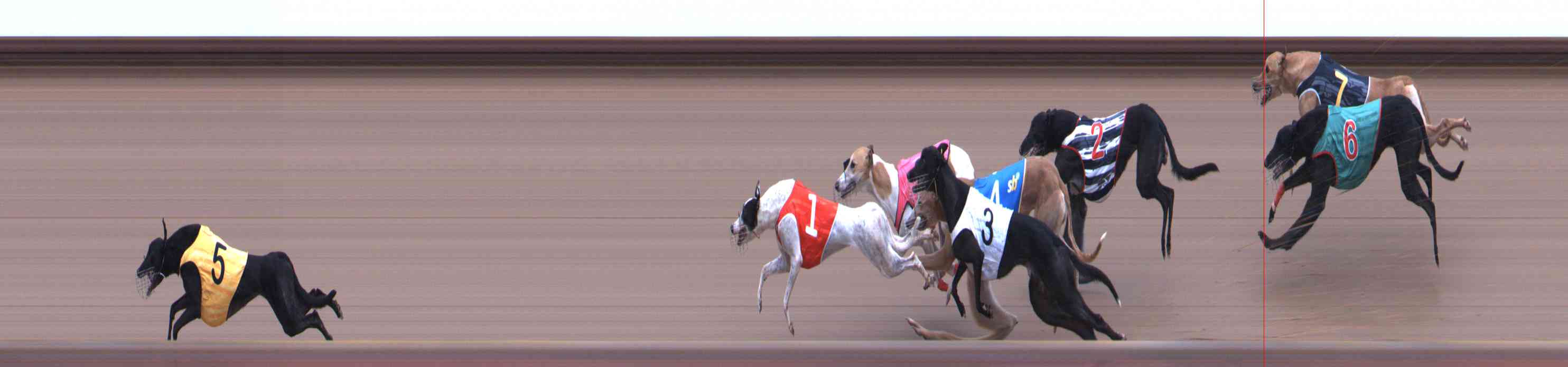 Photo finish for Healesville Race 8
