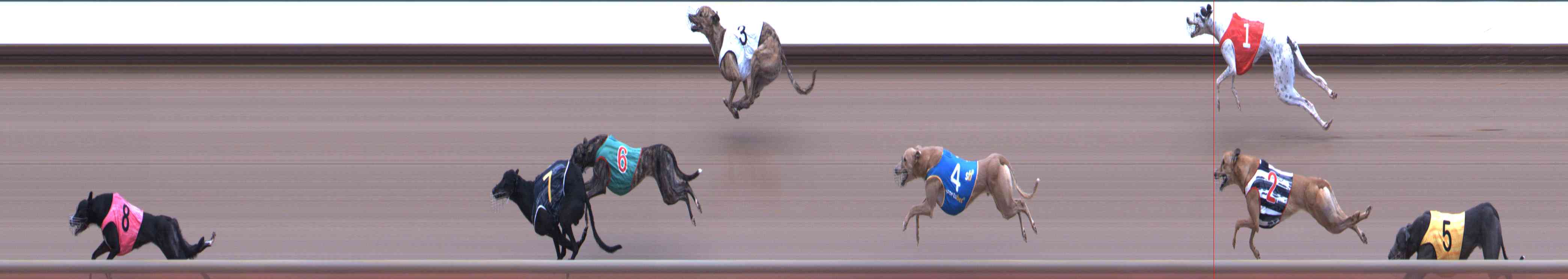 Photo finish for Healesville Race 9
