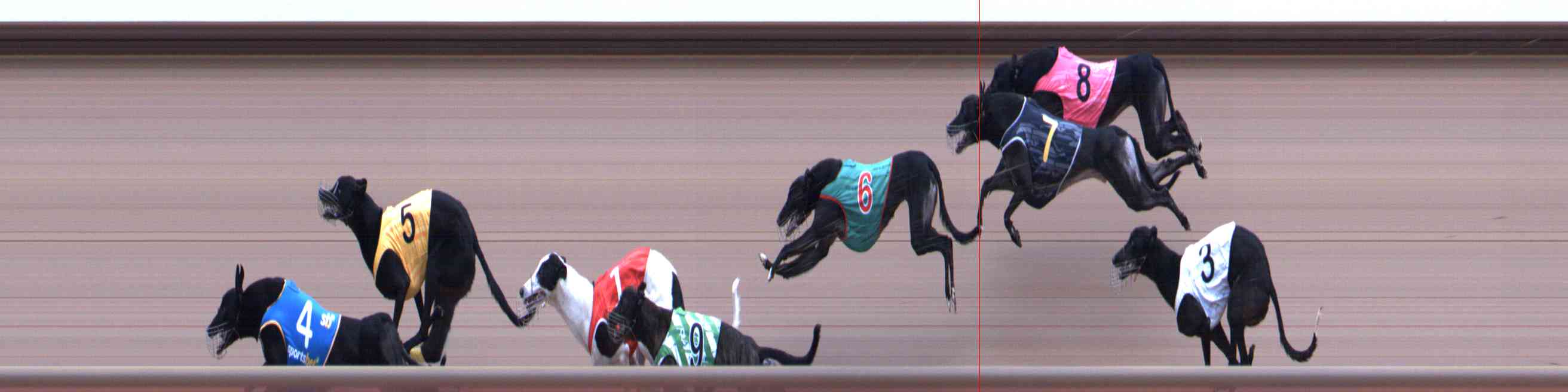 Photo finish for Healesville Race 10