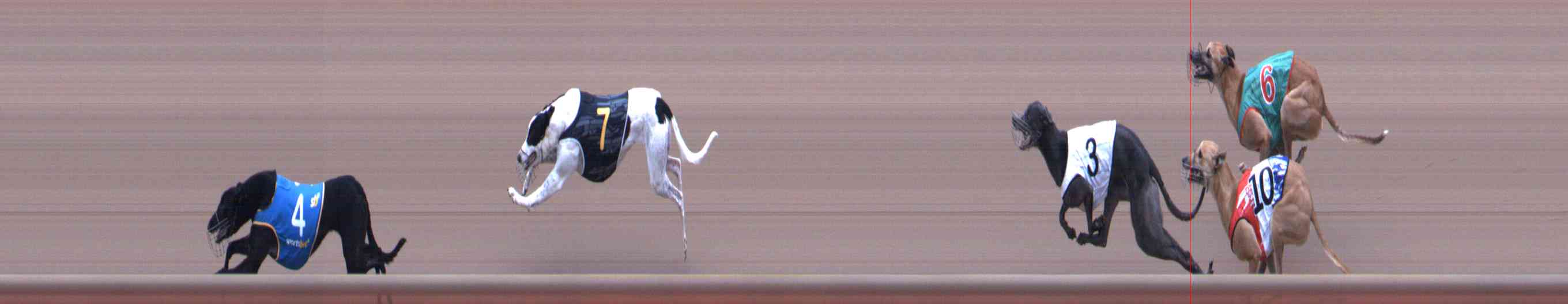Photo finish for Healesville Race 12