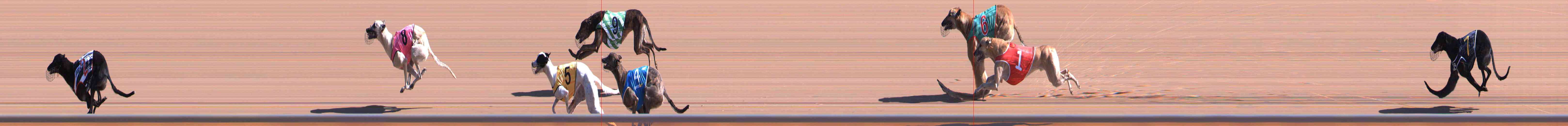 Photo finish for Healesville Race 1