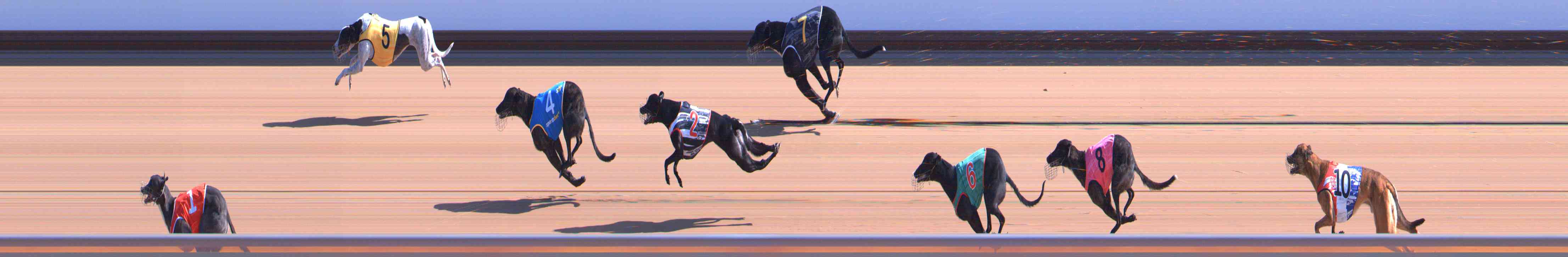 Photo finish for Healesville Race 3