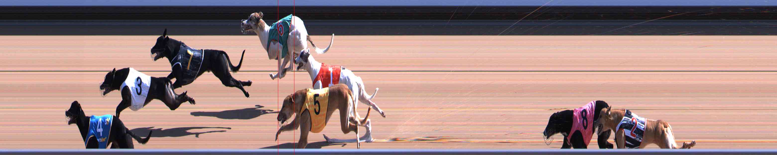 Photo finish for Healesville Race 4