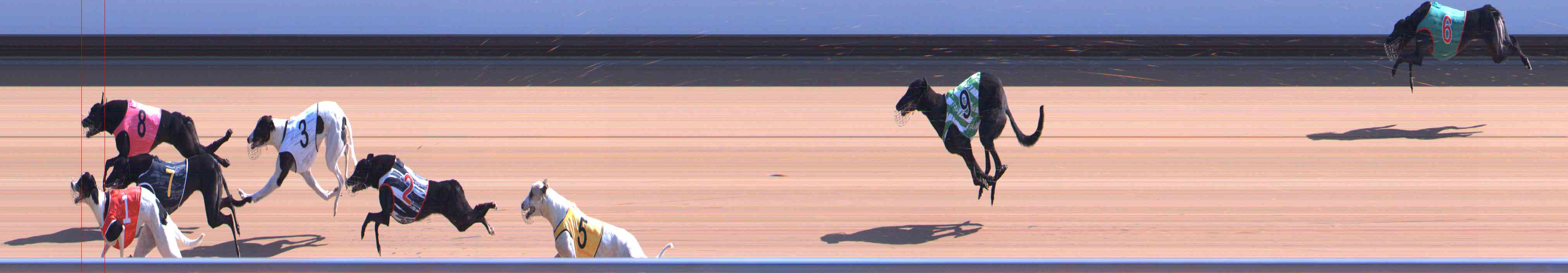Photo finish for Healesville Race 5
