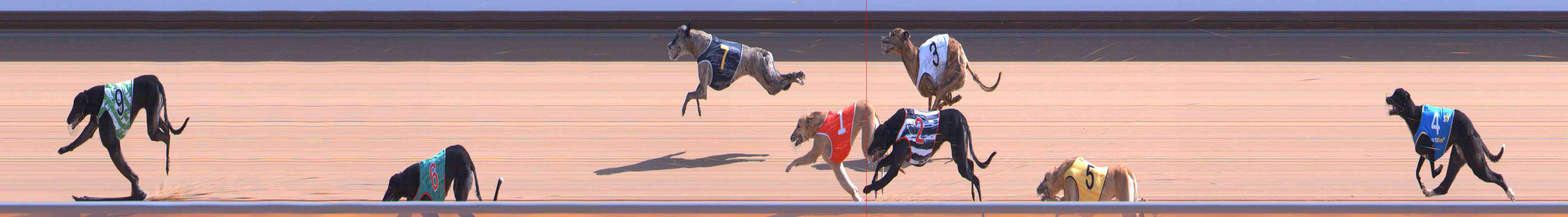Photo finish for Healesville Race 6
