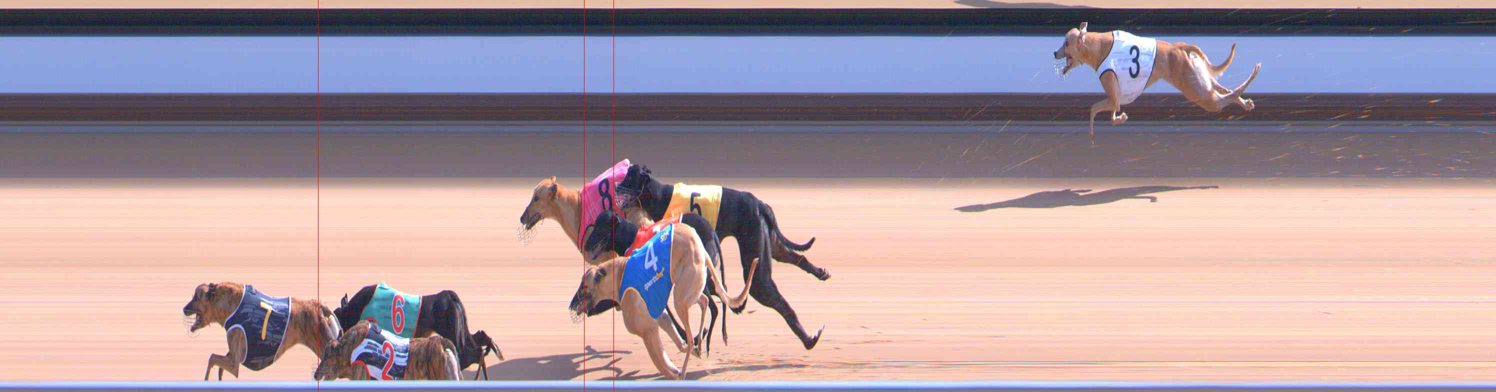 Photo finish for Healesville Race 7