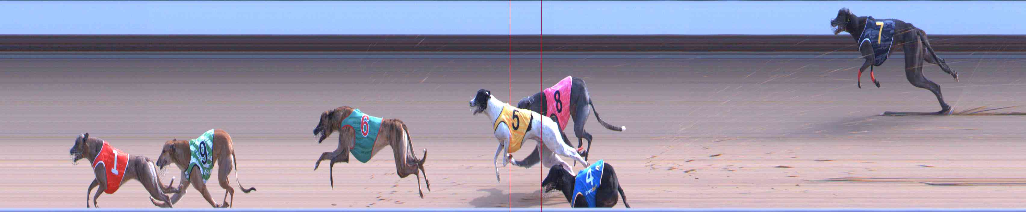 Photo finish for Healesville Race 8