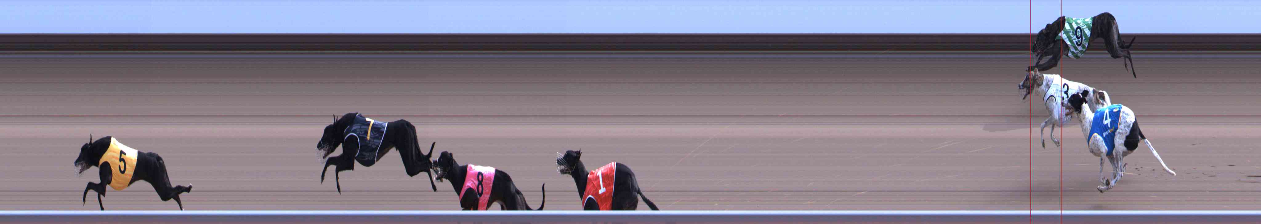 Photo finish for Healesville Race 9