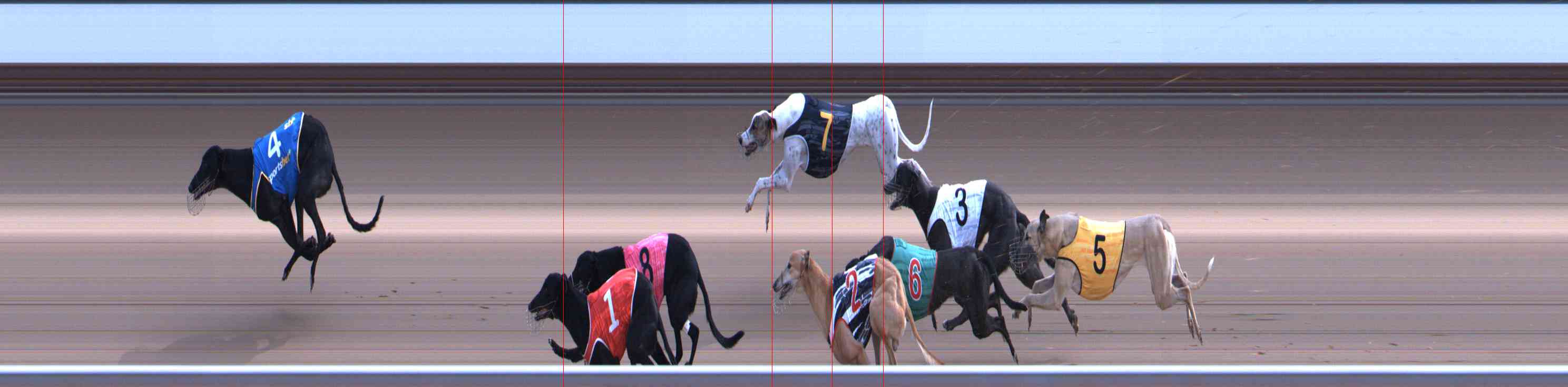 Photo finish for Healesville Race 10