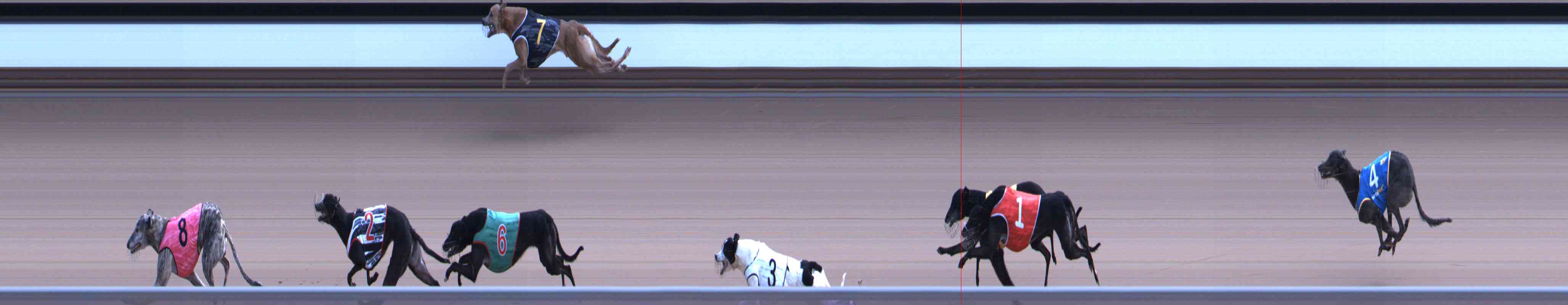 Photo finish for Healesville Race 11