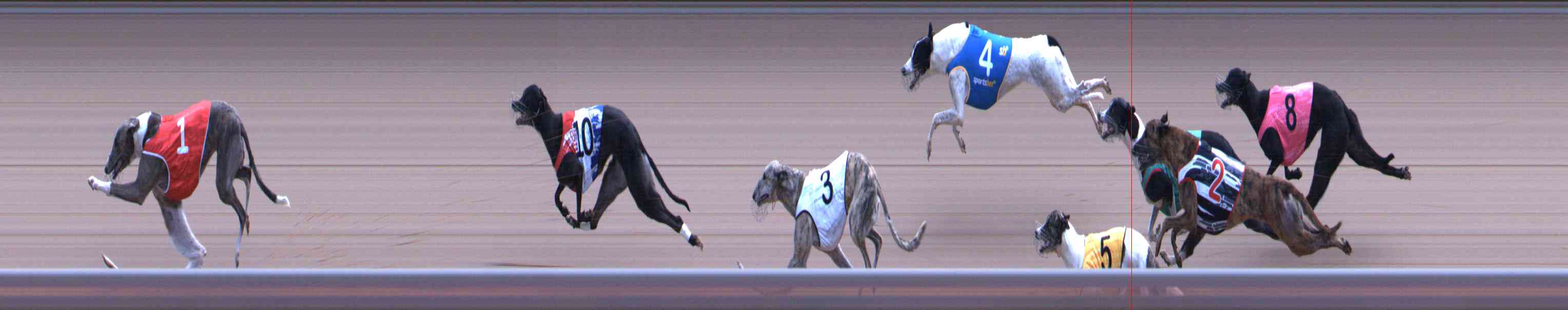 Photo finish for Healesville Race 12