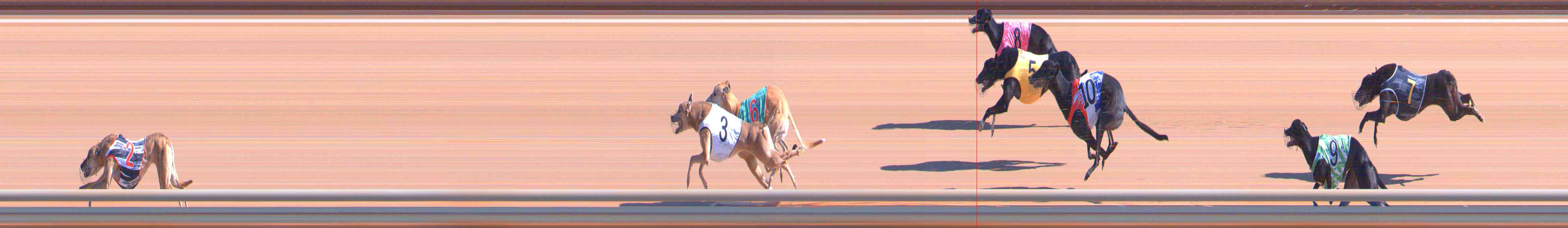 Photo finish for Healesville Race 1