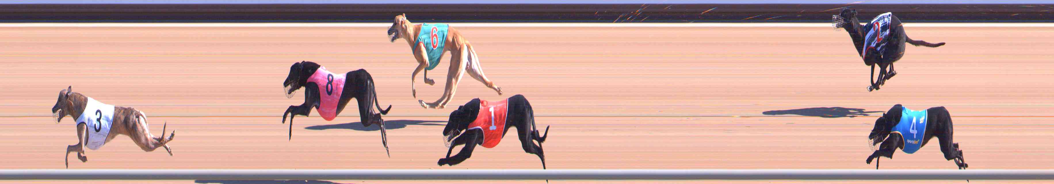 Photo finish for Healesville Race 2
