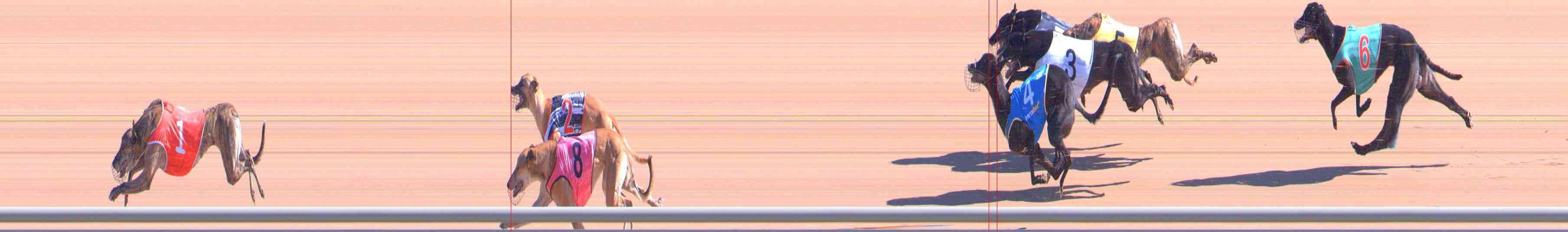 Photo finish for Healesville Race 3