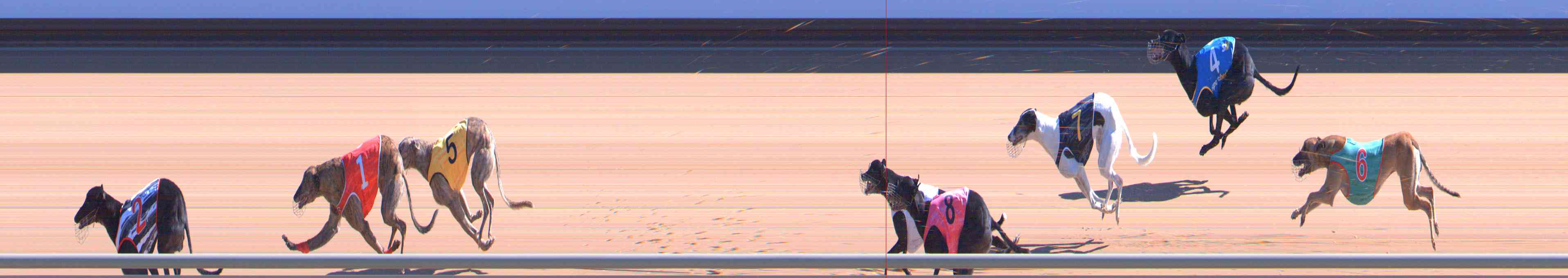 Photo finish for Healesville Race 5