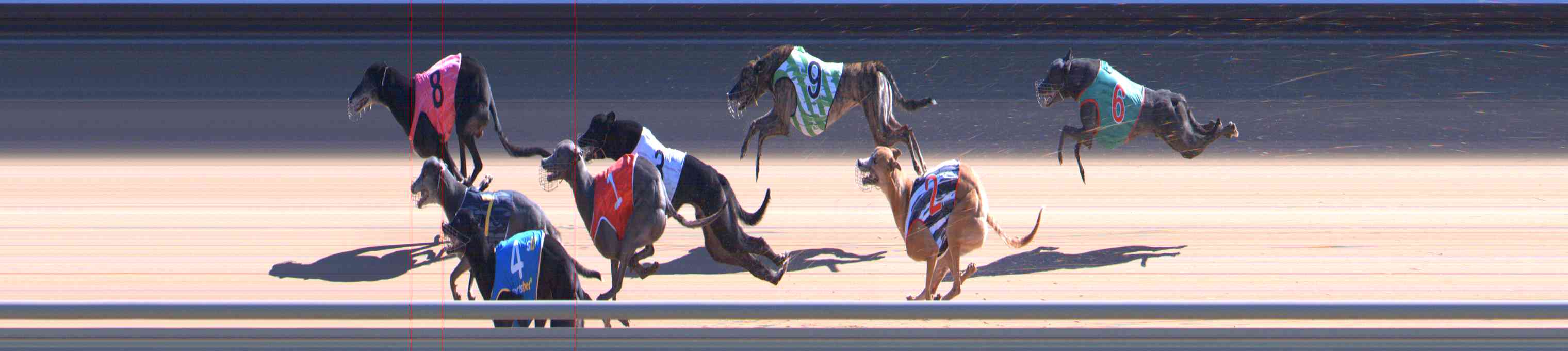 Photo finish for Healesville Race 7