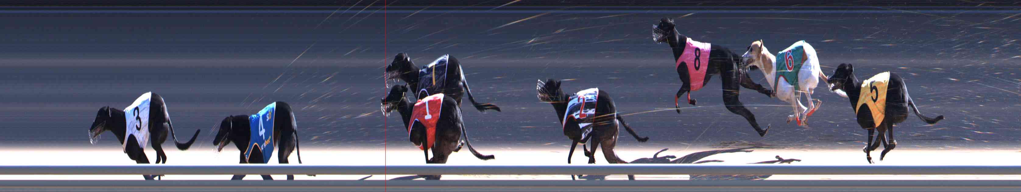Photo finish for Healesville Race 8