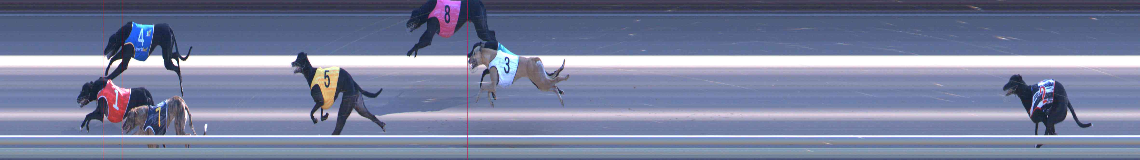 Photo finish for Healesville Race 9