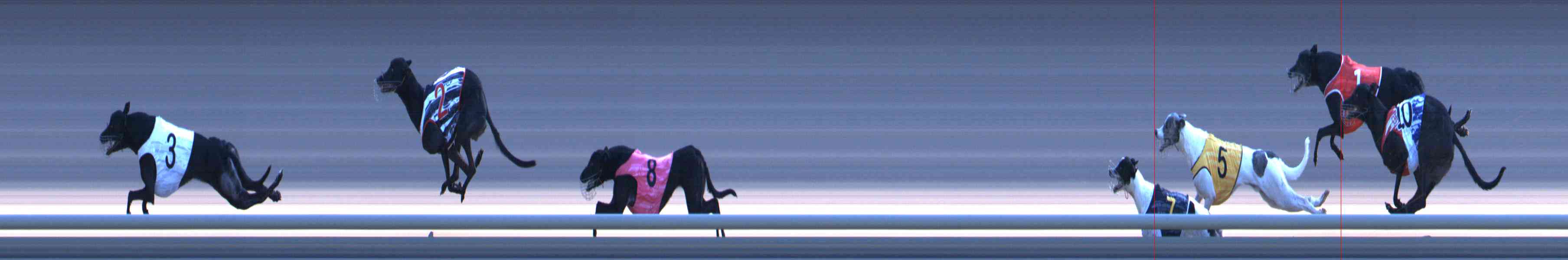 Photo finish for Healesville Race 10