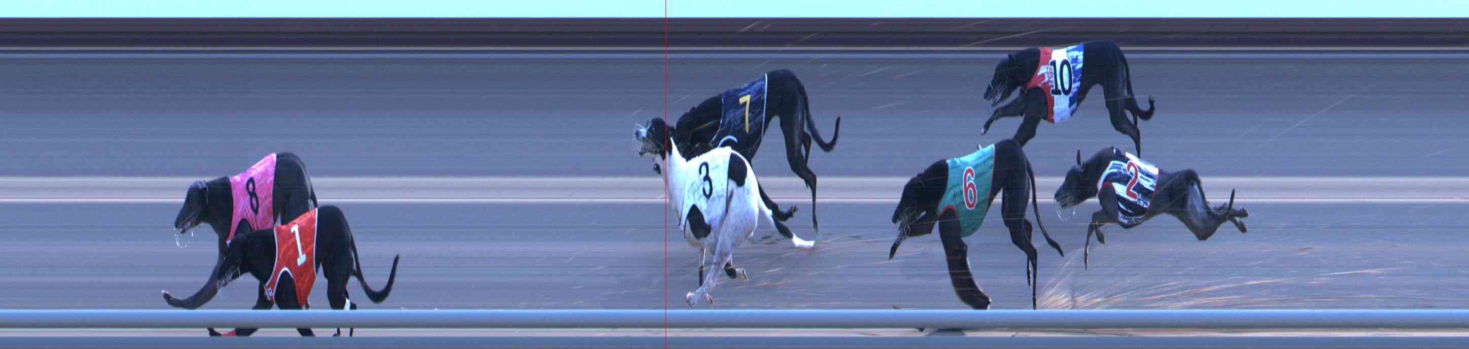 Photo finish for Healesville Race 11