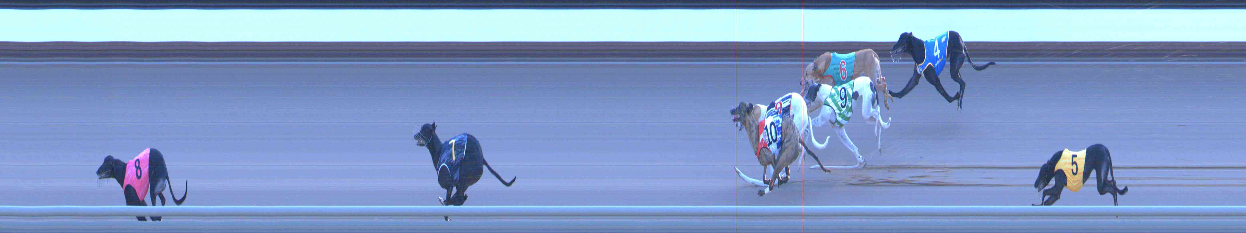 Photo finish for Healesville Race 12