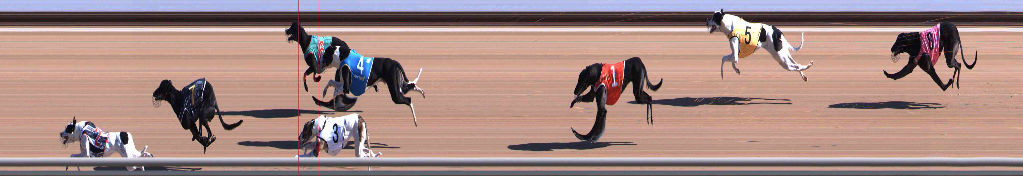 Photo finish for Healesville Race 1
