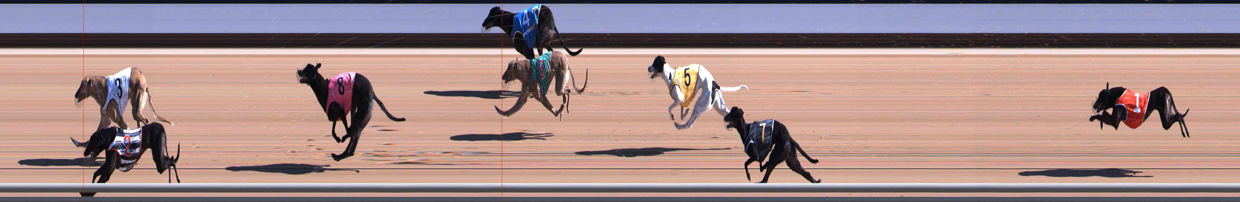 Photo finish for Healesville Race 2