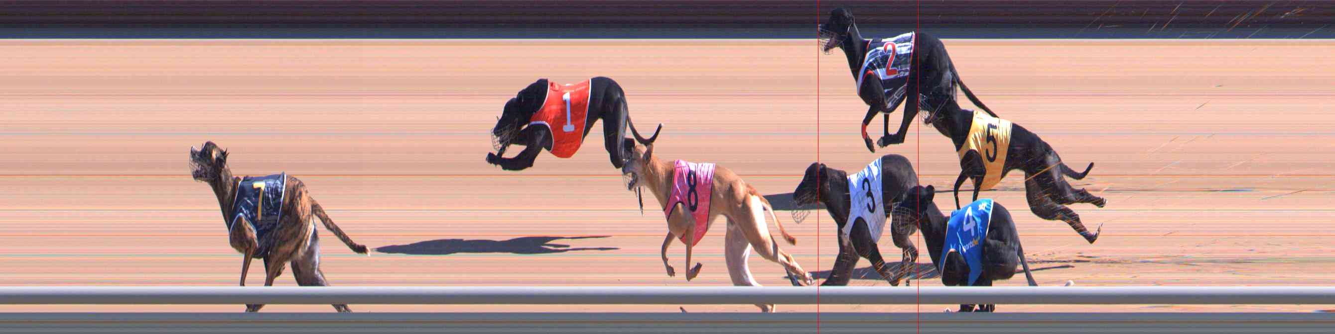 Photo finish for Healesville Race 3