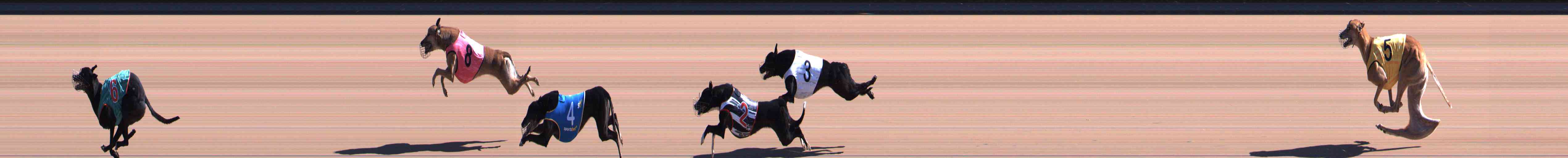 Photo finish for Healesville Race 4