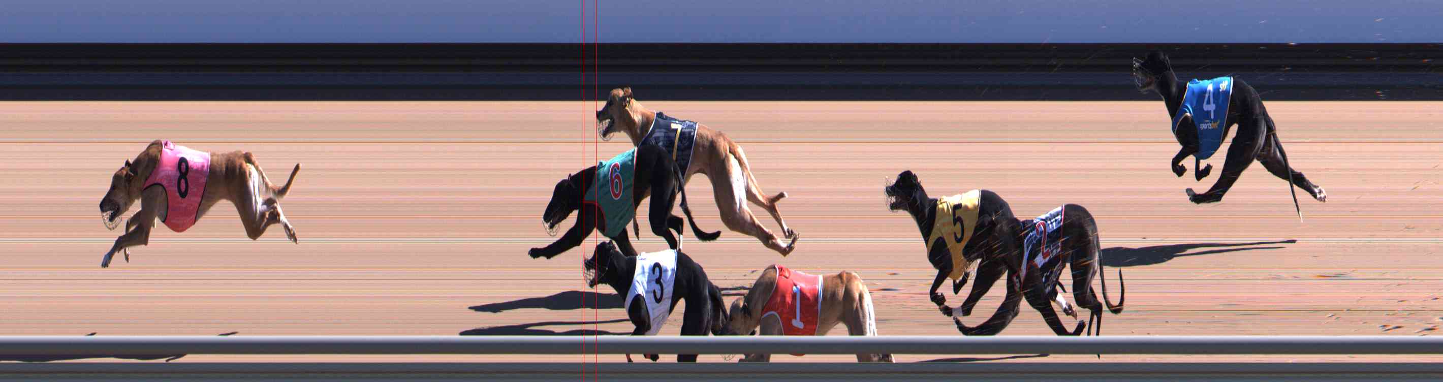 Photo finish for Healesville Race 5