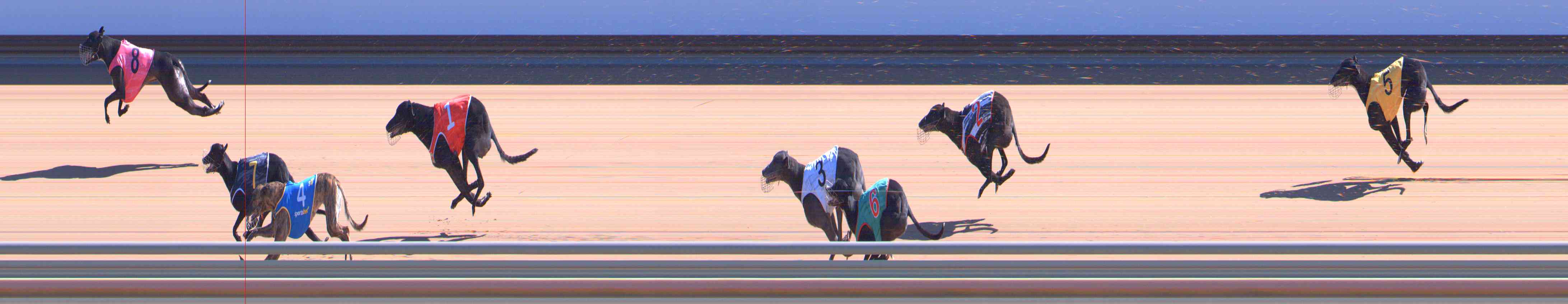 Photo finish for Healesville Race 6