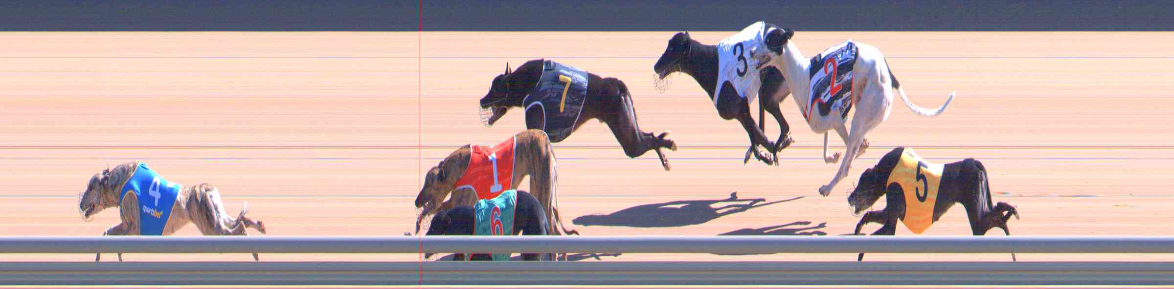 Photo finish for Healesville Race 7