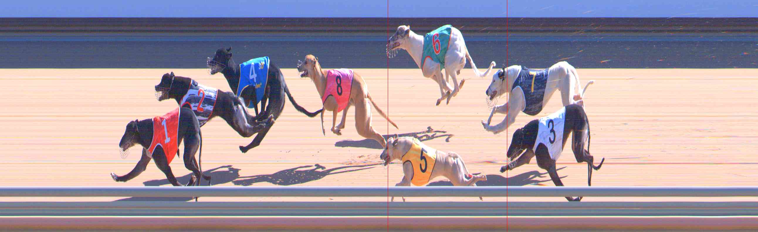 Photo finish for Healesville Race 8