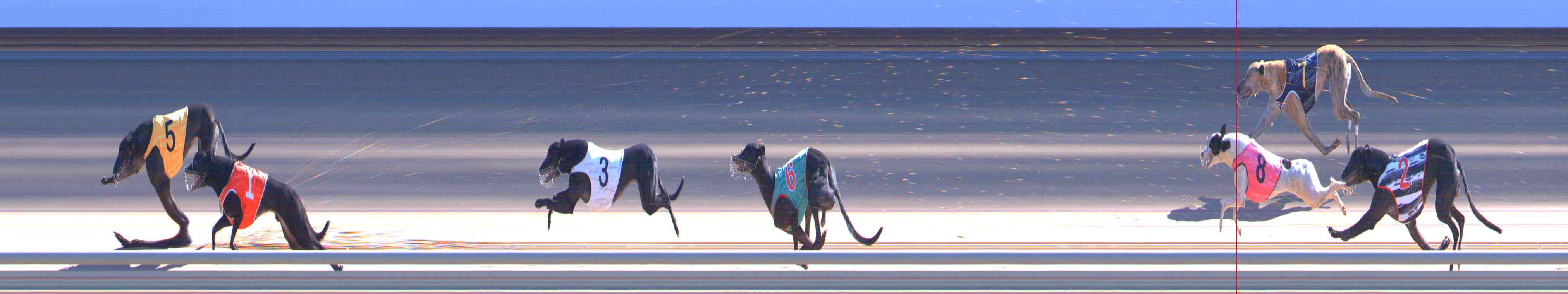 Photo finish for Healesville Race 9